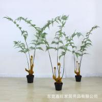 uploads/erp/collection/images/Home Garden/dgjiawang/XU0612615/img_b/XU0612615_img_b_2